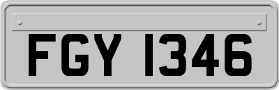 FGY1346