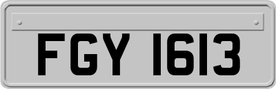 FGY1613