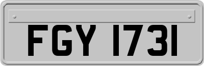 FGY1731