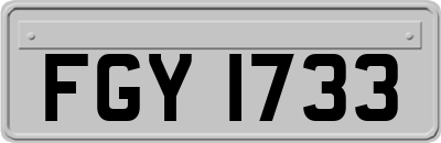 FGY1733