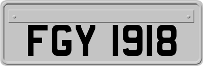FGY1918