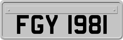 FGY1981