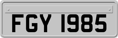 FGY1985