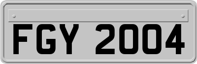 FGY2004