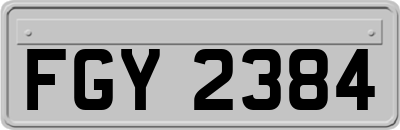 FGY2384