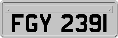 FGY2391