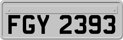 FGY2393