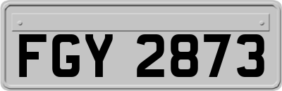 FGY2873