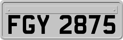 FGY2875