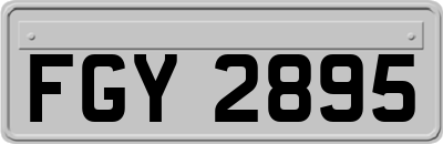 FGY2895