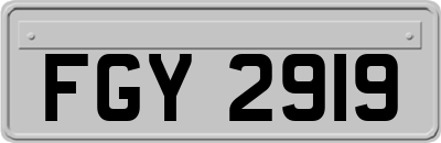 FGY2919