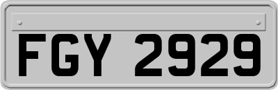 FGY2929