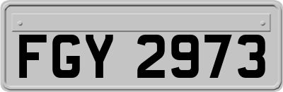 FGY2973