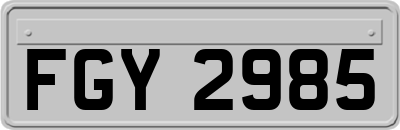 FGY2985