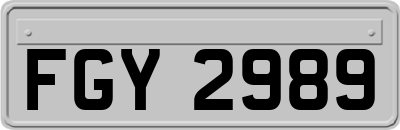 FGY2989
