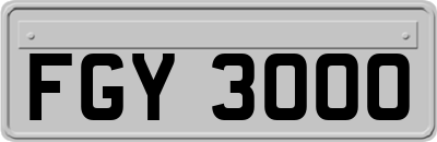 FGY3000