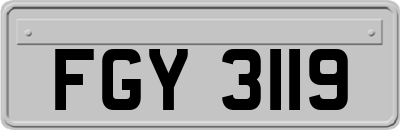 FGY3119