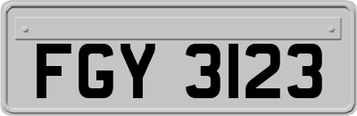 FGY3123