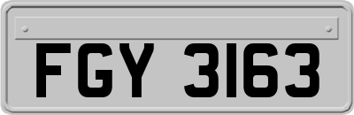FGY3163