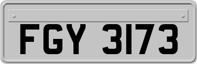 FGY3173