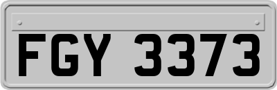 FGY3373