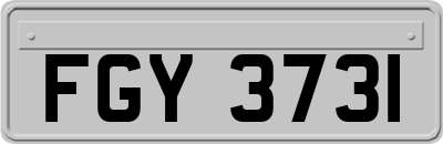 FGY3731