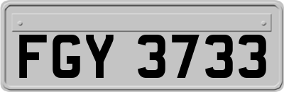 FGY3733