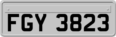 FGY3823