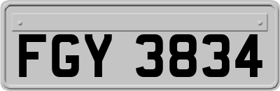 FGY3834