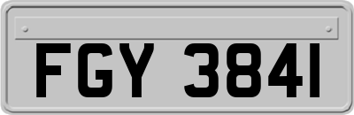 FGY3841
