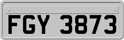 FGY3873