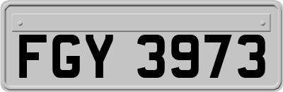 FGY3973