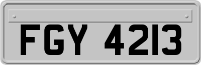 FGY4213