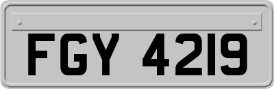 FGY4219