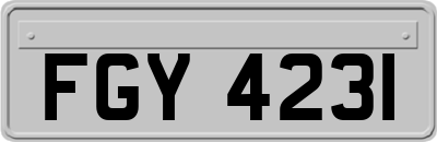 FGY4231