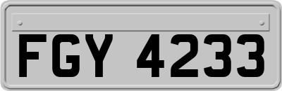 FGY4233