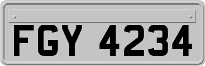 FGY4234