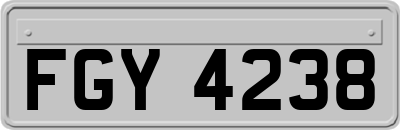 FGY4238