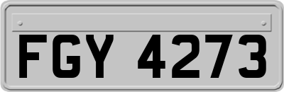 FGY4273