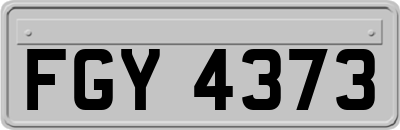 FGY4373