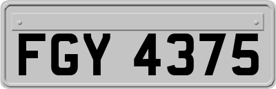 FGY4375