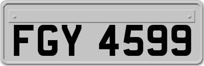FGY4599