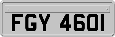 FGY4601