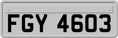 FGY4603