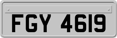 FGY4619