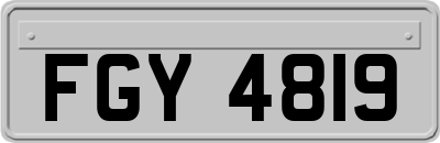 FGY4819