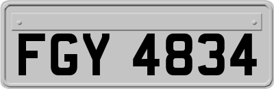 FGY4834