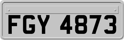 FGY4873