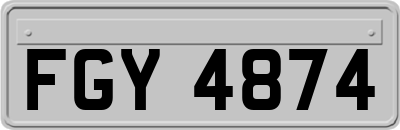 FGY4874