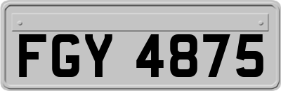FGY4875